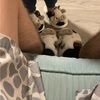 victorjrm1238